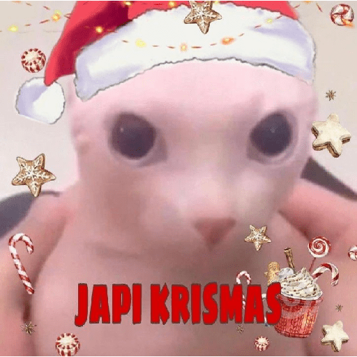 🎄🎅🏻Memes Navideños❄️🎄 14
