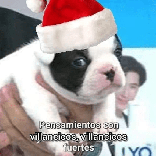 🎄🎅🏻Memes Navideños❄️🎄 2