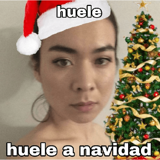 🎄🎅🏻Memes Navideños❄️🎄 4