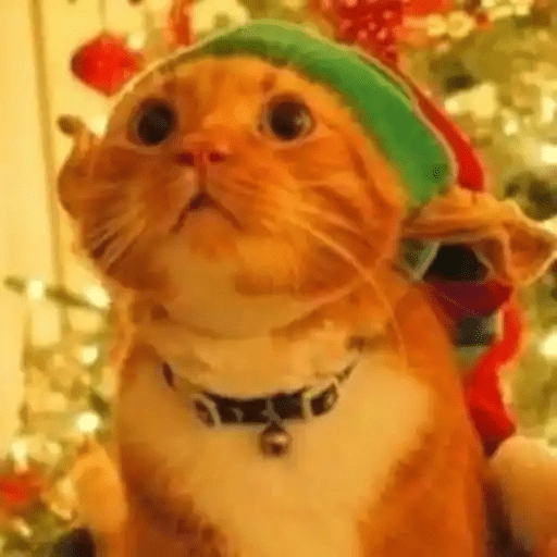 😻Gatitos Navideños🎄