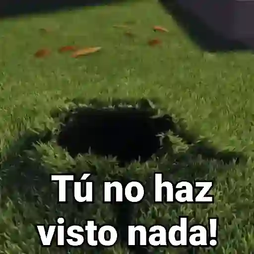 Animados Variados🌈🤩 5