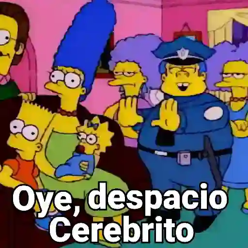 Animados Variados🌈🤩 13
