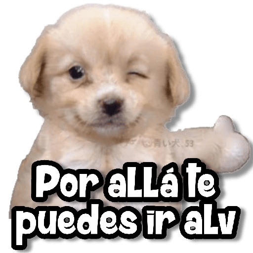 Sticker Image