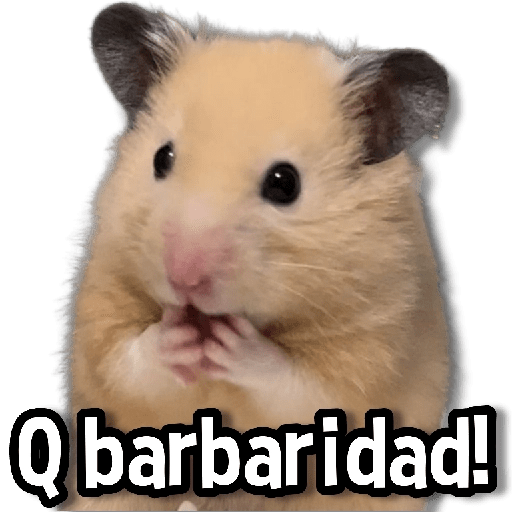 ☀️Animalitos con Frases🌼