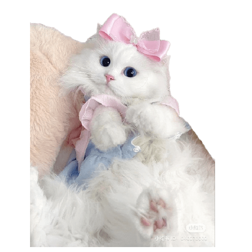 Cute cat pt#1 3