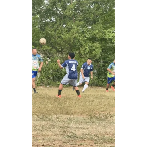 Palo 8