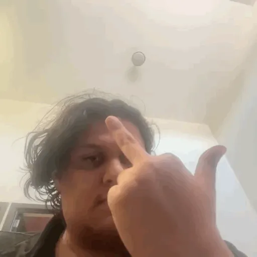 Palo 3