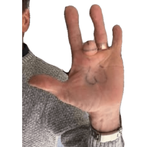 Sasi 29