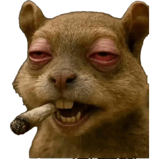 Sasi 23