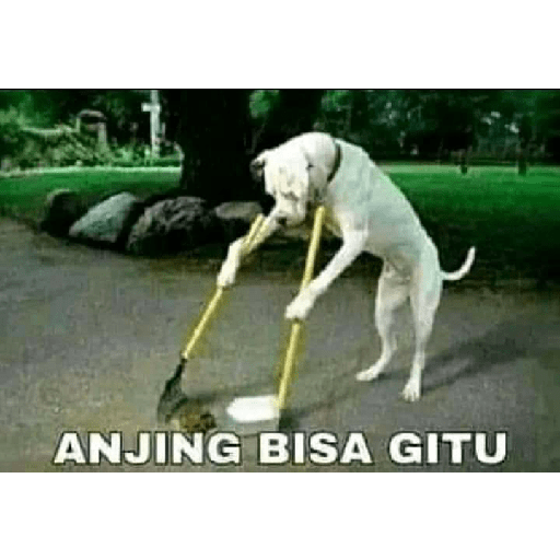 Stiker Absurd Humor Part 2 3