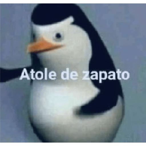 :v 🐭 30
