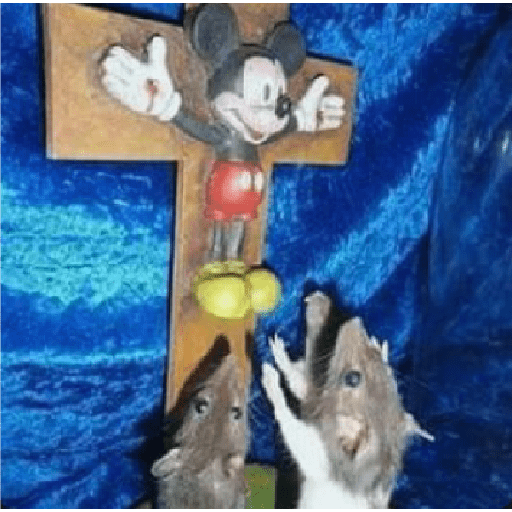 :v 🐭 15