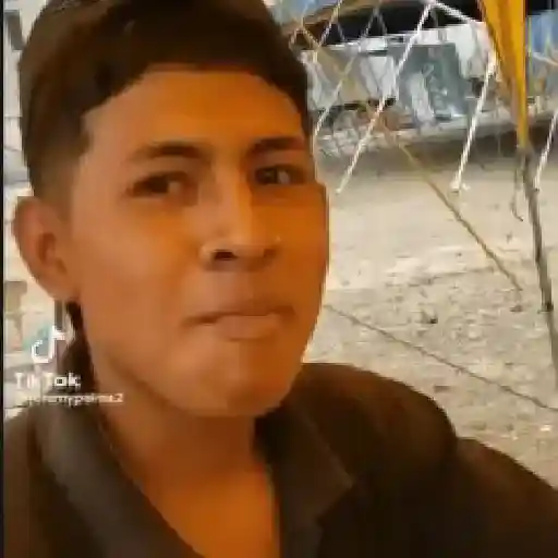 Animados 11