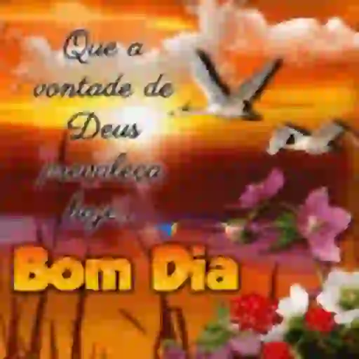 Minhas figurinhas 15