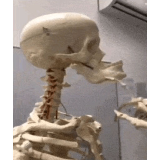 Memes 16: caçada ao raulzito 18
