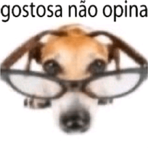 Memes 16: caçada ao raulzito 30