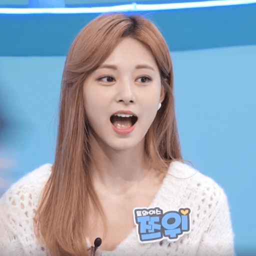 Tzuyu 13
