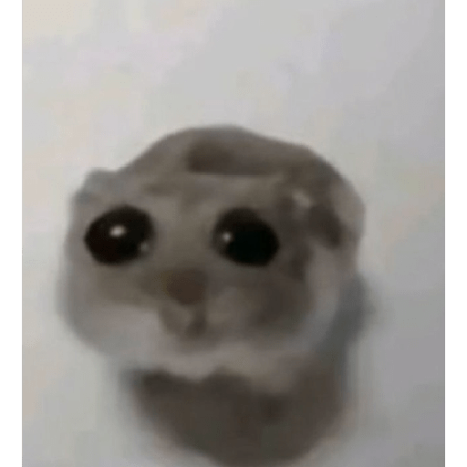 2041677969.png