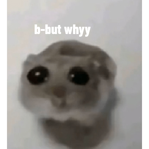 2046110127.png