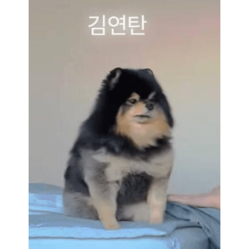 스티커 30