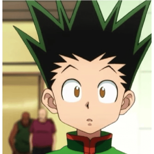 Gon 6