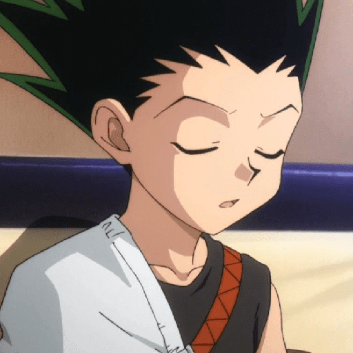 Gon 12