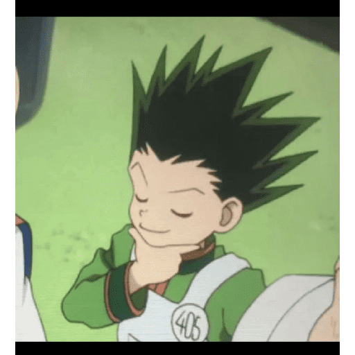 Gon 18