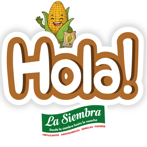 LA SIEMBRA FRASES 