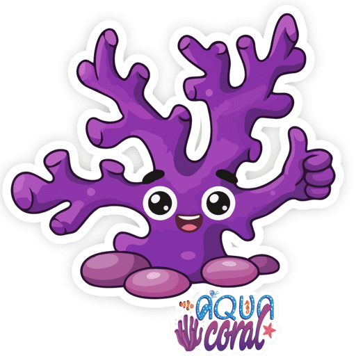 AQUA CORAL EMOJIS  24