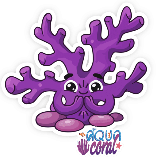 AQUA CORAL EMOJIS  19