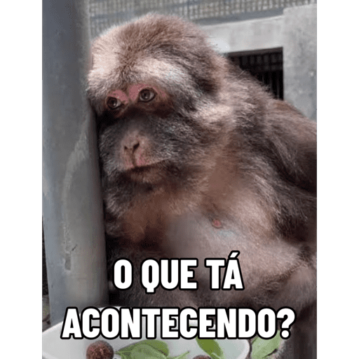 Xing xing 24 aniversário 🥳 7