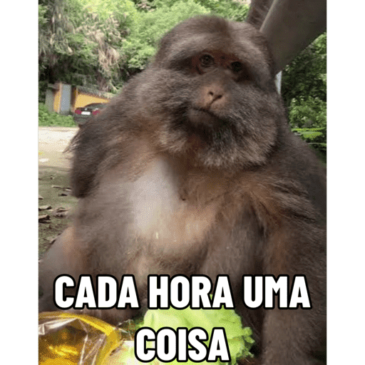 Xing xing 24 aniversário 🥳 21