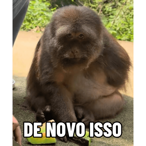 Xing xing 24 aniversário 🥳 20