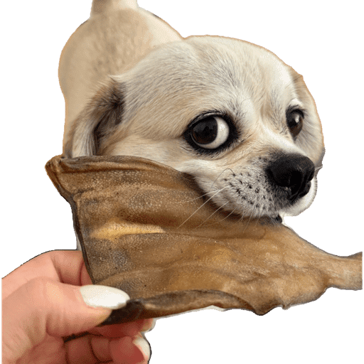 Pack Ninoco 24