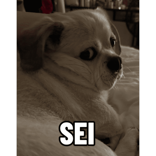 Pack Ninoco 5