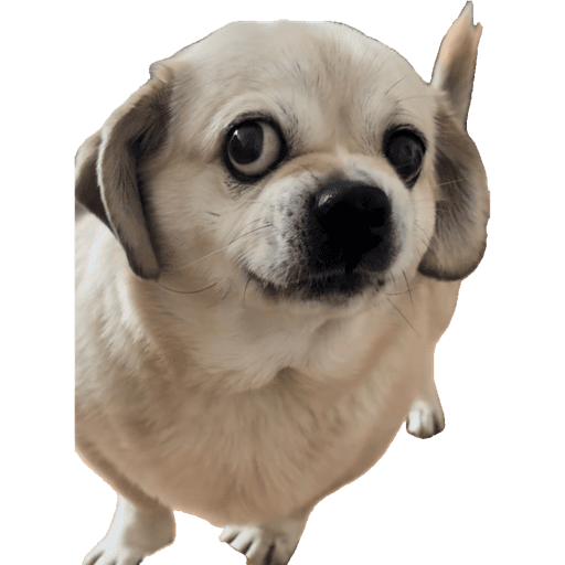 Pack Ninoco 8