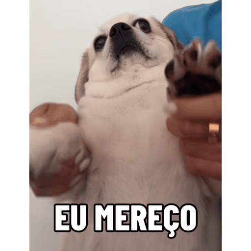 Pack Ninoco 12