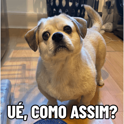 Pack Ninoco