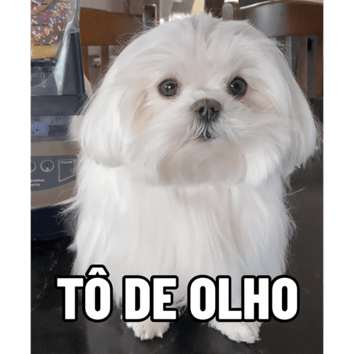 Pack Ninoco 22