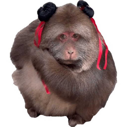 Sticker Image