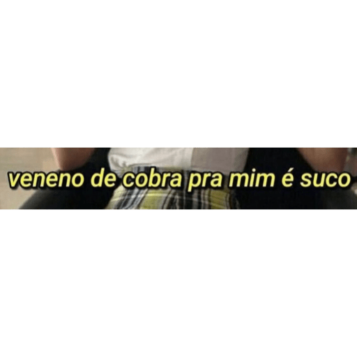 Jajs 13
