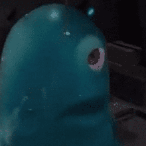 MEMES TIK TOK 3 16