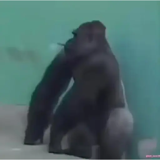Random 9 mov 10