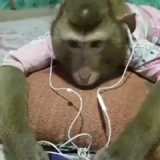 Random 9 mov 8