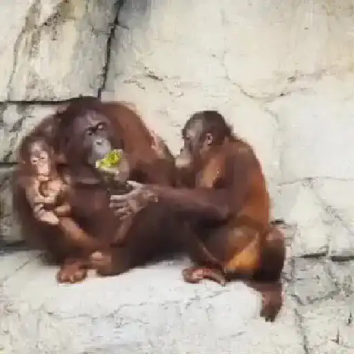 Random 9 mov 7