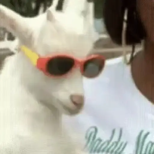 Random 9 mov 15