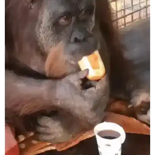 Random 9 mov 14