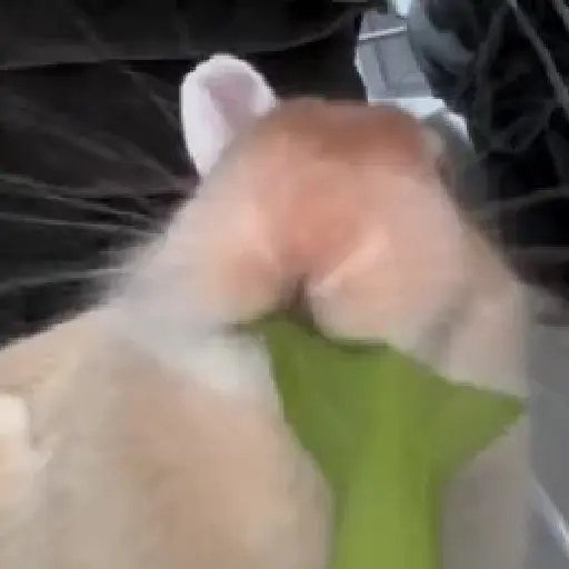 Random 9 mov 29