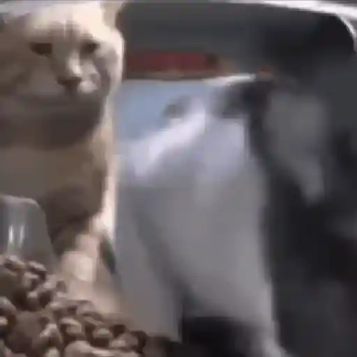Random 9 mov 4