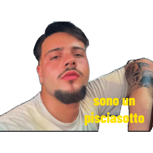 I miei adesivi 4